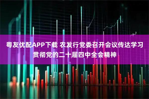 粤友优配APP下载 农发行党委召开会议传达学习贯彻党的二十届四中全会精神
