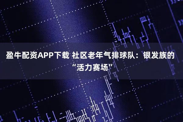 盈牛配资APP下载 社区老年气排球队：银发族的 “活力赛场”