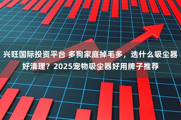 兴旺国际投资平台 多狗家庭掉毛多，选什么吸尘器好清理？2025宠物吸尘器好用牌子推荐