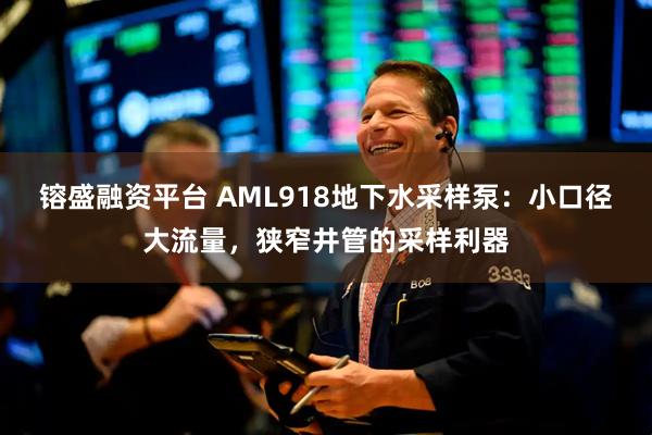 镕盛融资平台 AML918地下水采样泵：小口径大流量，狭窄井管的采样利器