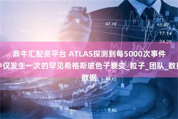 鼎牛汇配资平台 ATLAS探测到每5000次事件中仅发生一次的罕见希格斯玻色子衰变_粒子_团队_数据